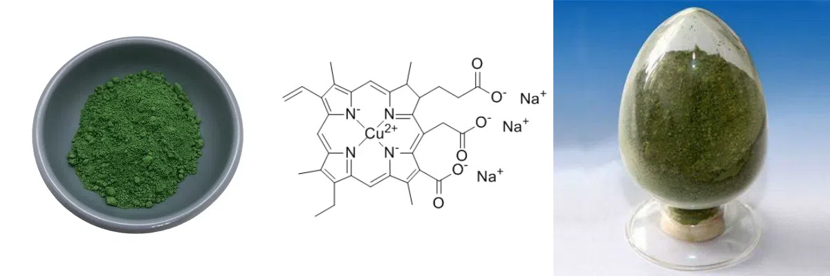 Chlorophylline cuivrique sodique